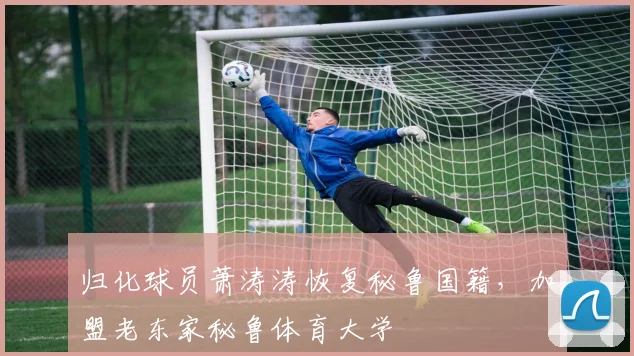 归化球员萧涛涛恢复秘鲁国籍，加盟老东家秘鲁体育大学