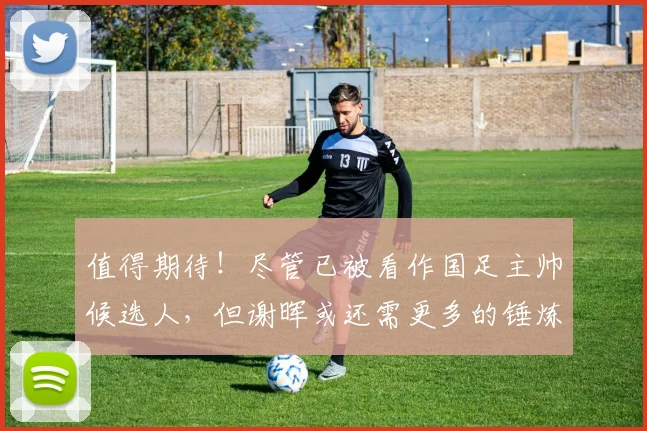 值得期待！尽管已被看作国足主帅候选人，但谢晖或还需更多的锤炼