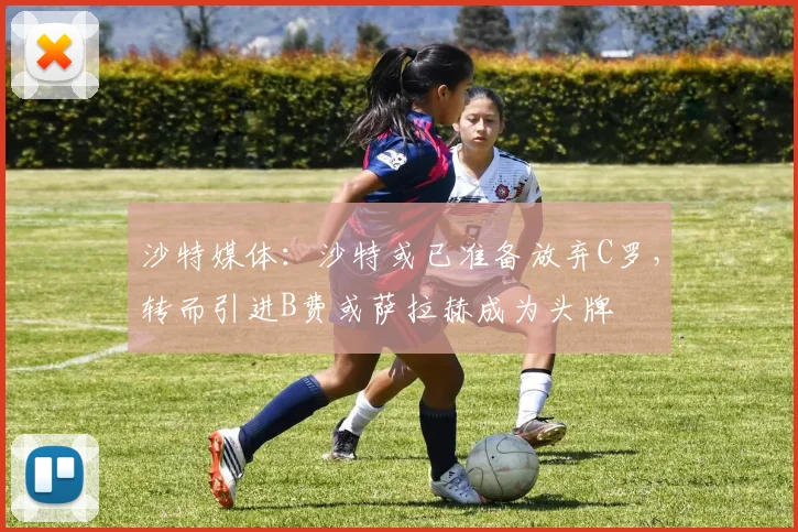 沙特媒体：沙特或已准备放弃C罗，转而引进B费或萨拉赫成为头牌
