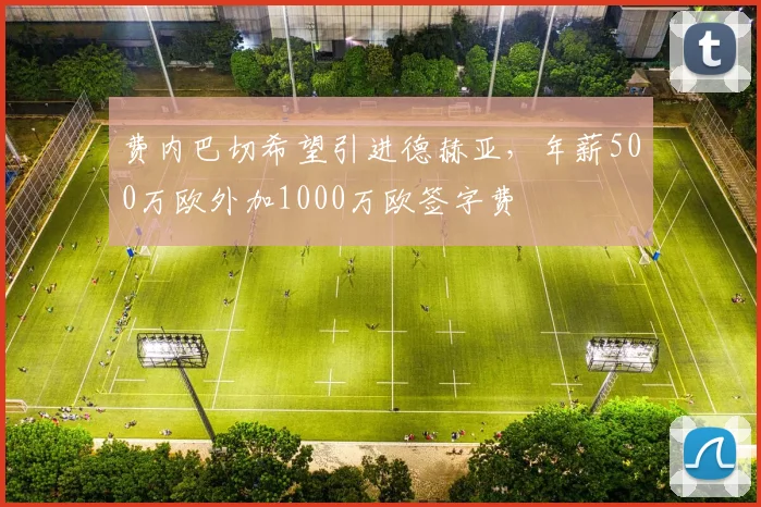 费内巴切希望引进德赫亚，年薪500万欧外加1000万欧签字费